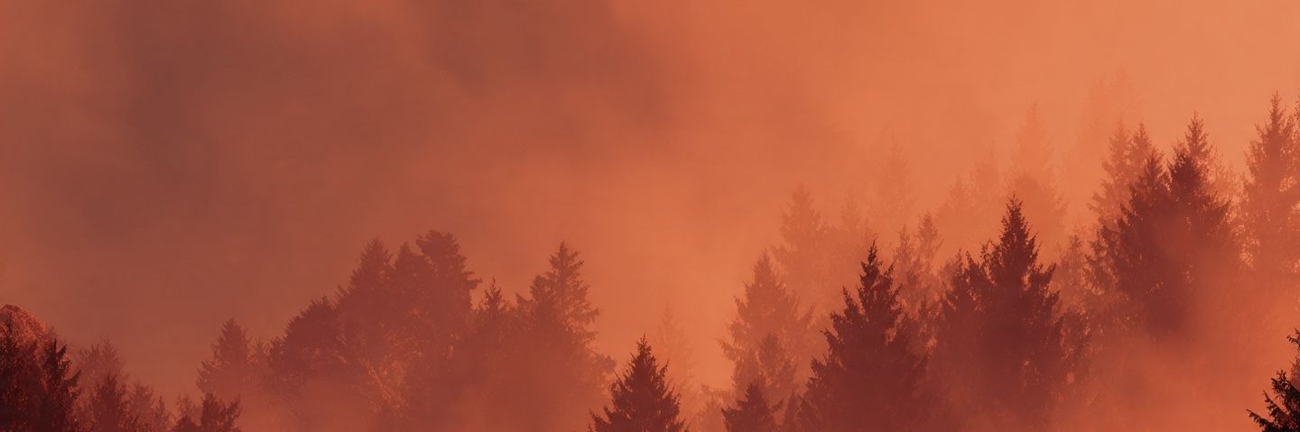 Q20G0's profile banner image