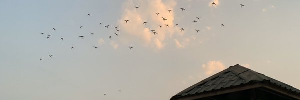 AmarBatra Profile Banner