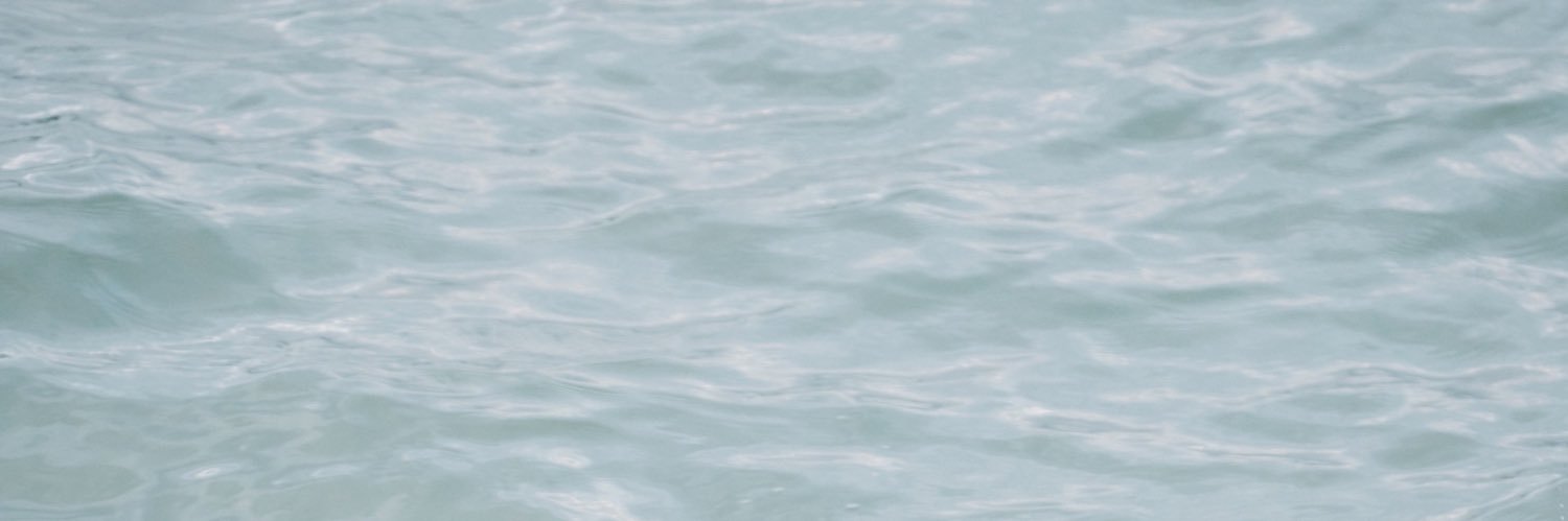 formalovemt's profile banner image