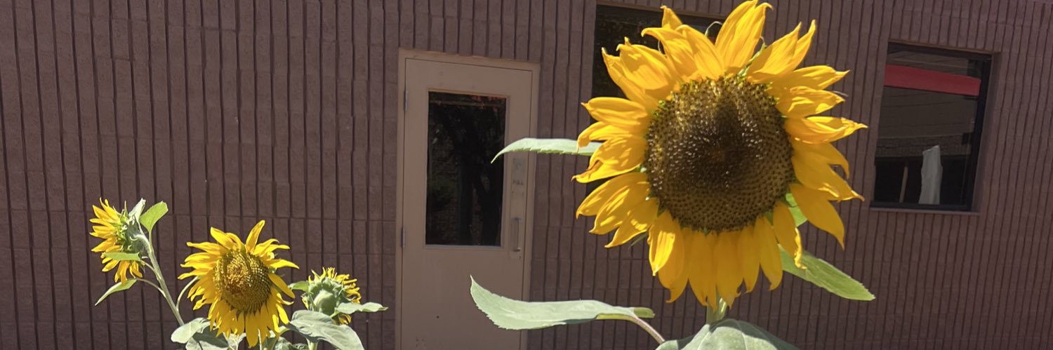 Angela Hernandez banner