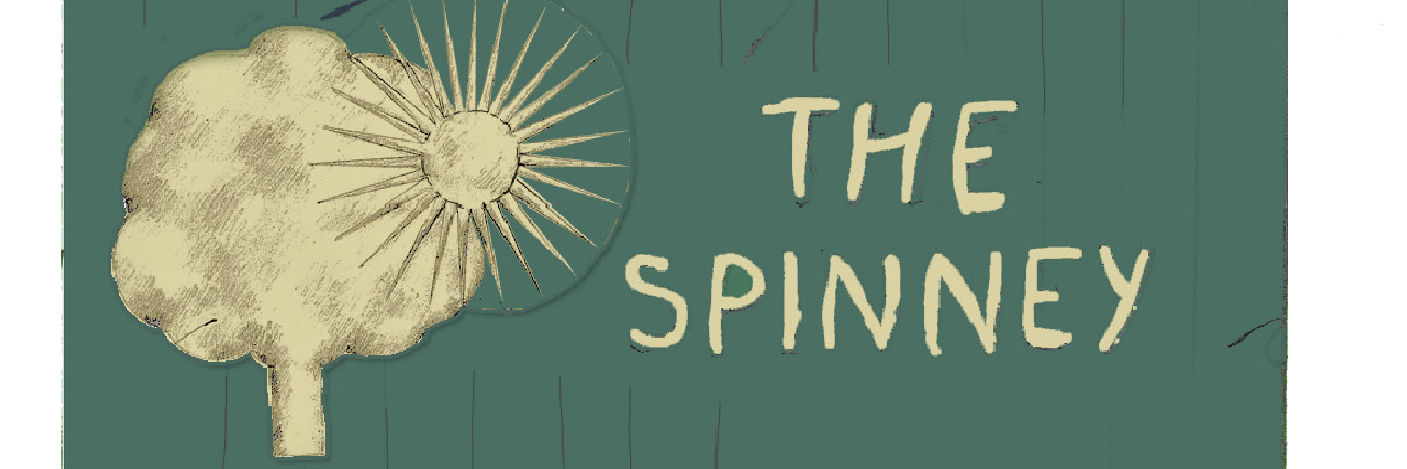 spinneyclapham's profile banner image