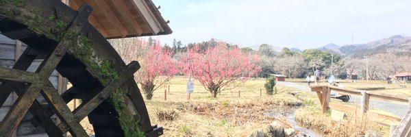 ct125cub Profile Banner