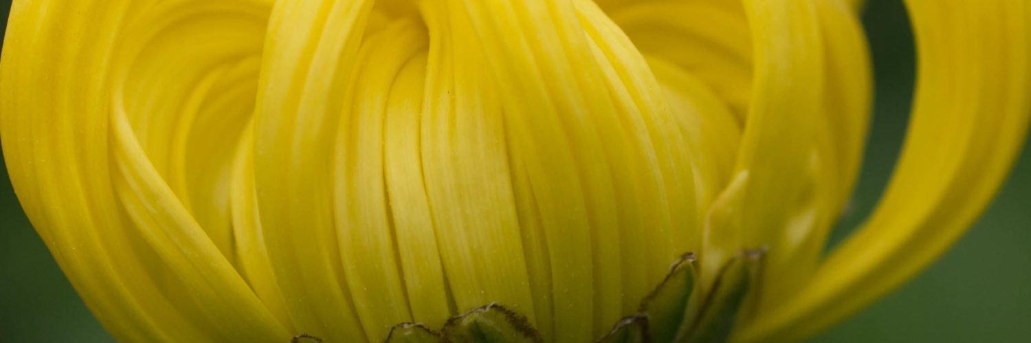 telemasX's profile banner image