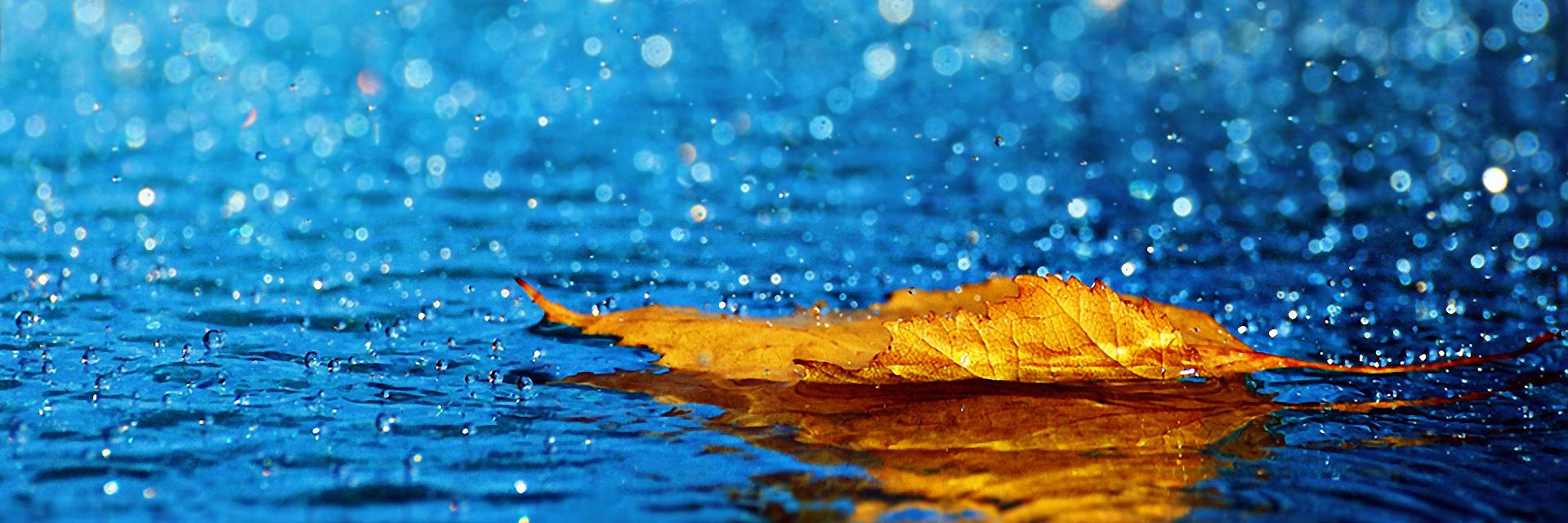 ivpaperapple's profile banner image