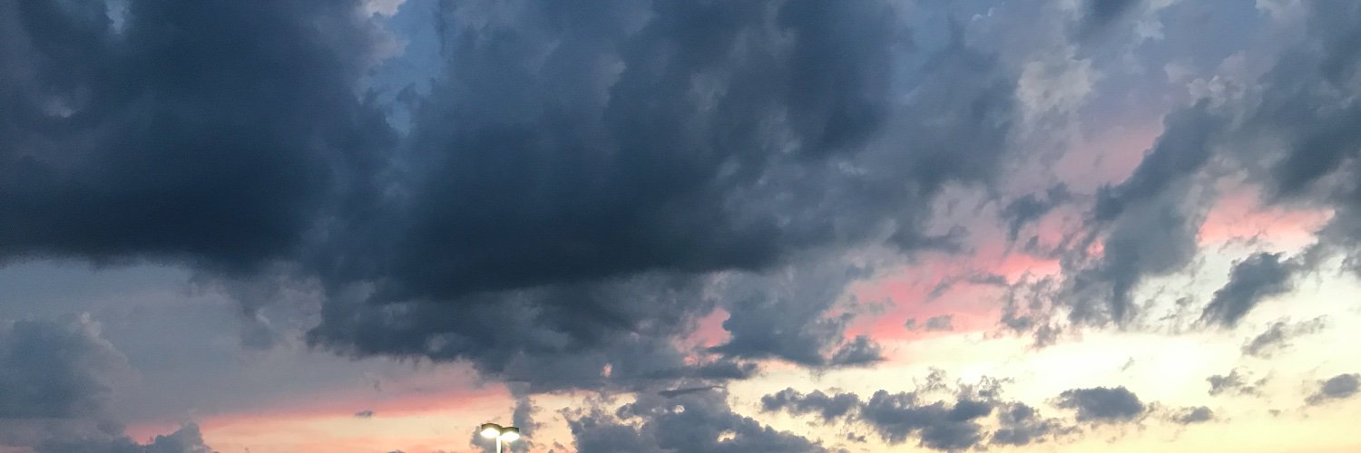 LeahGoose's profile banner image