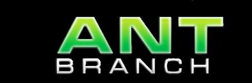 ant_branch's profile banner image