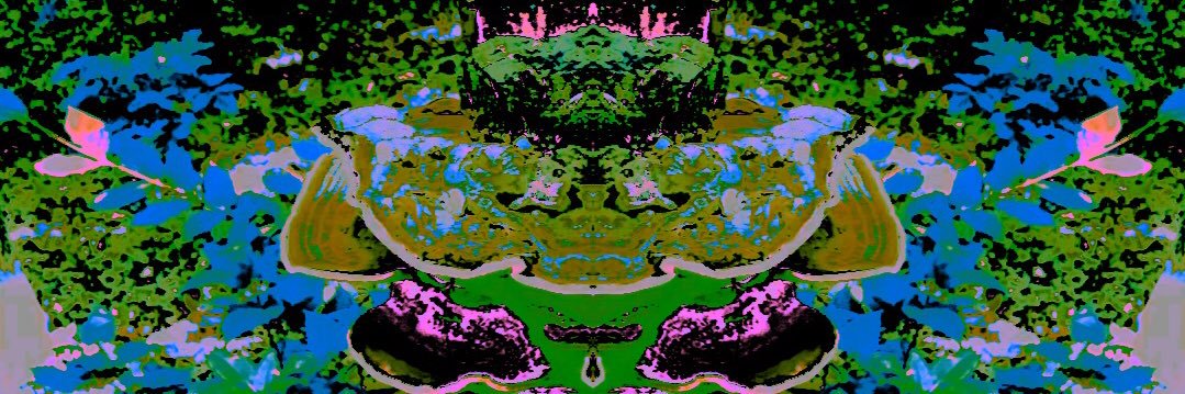 addison_vanz's profile banner image