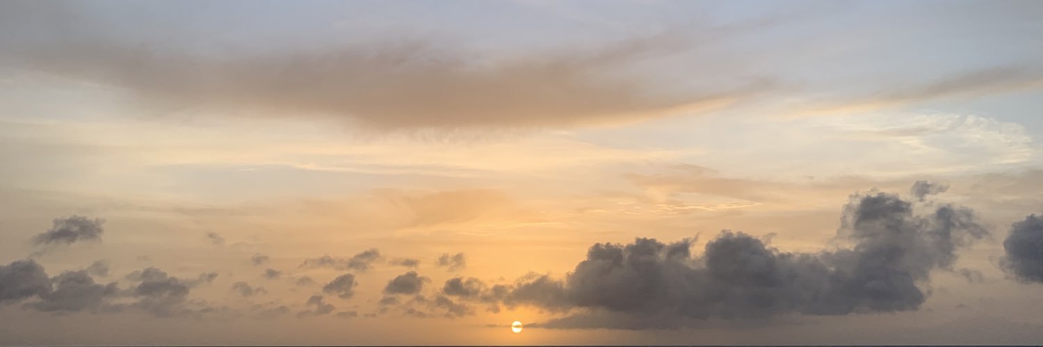 lrhcruz's profile banner image