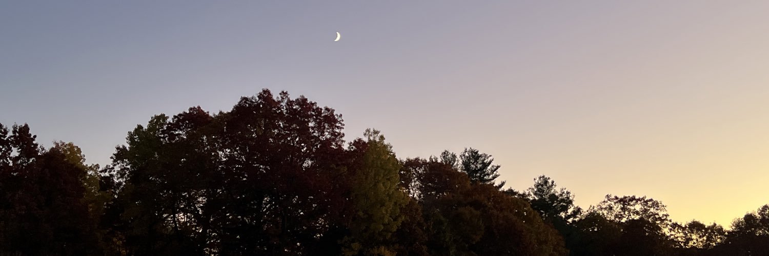 Malek Ould-Oulhadj banner