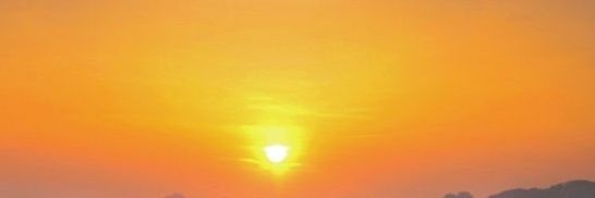 ollie banner