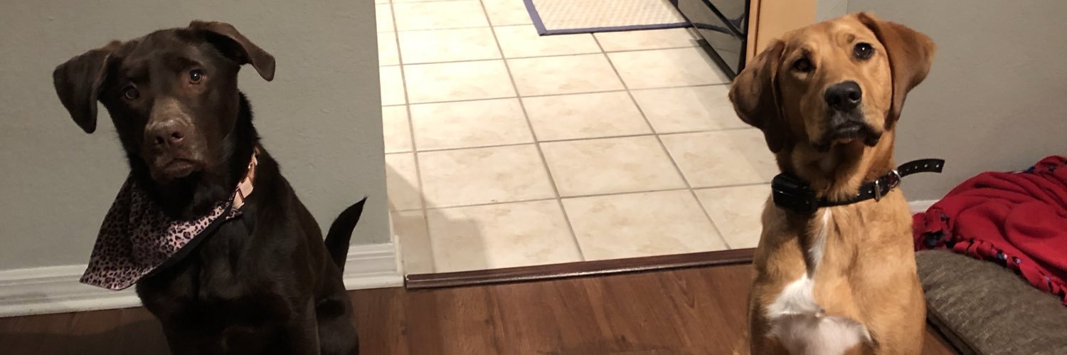 TangorreTweets's profile banner image