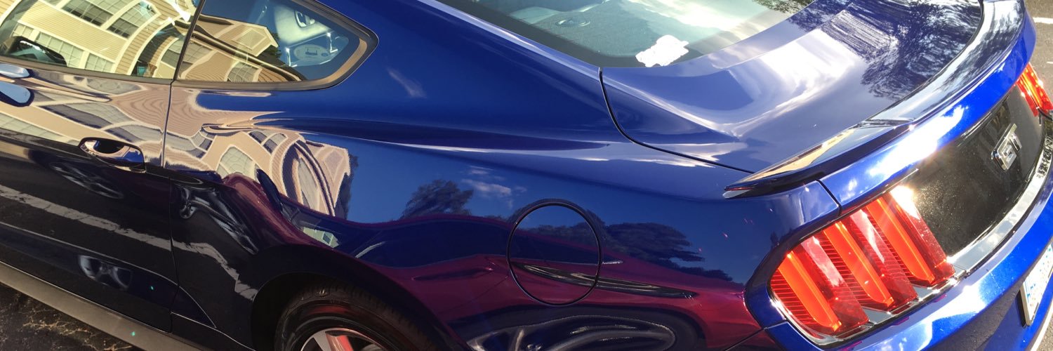 dtoronski's profile banner image