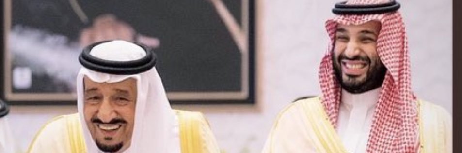 Sultan Alsamel banner