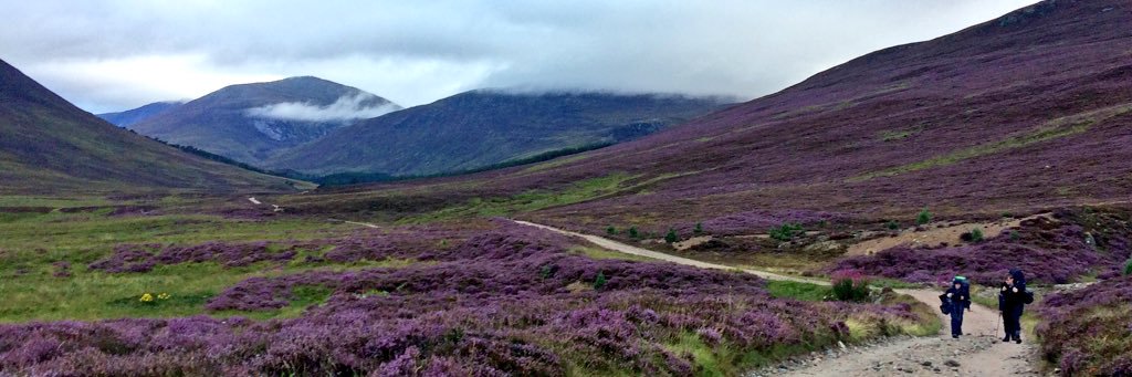 DHS_DofE's profile banner image