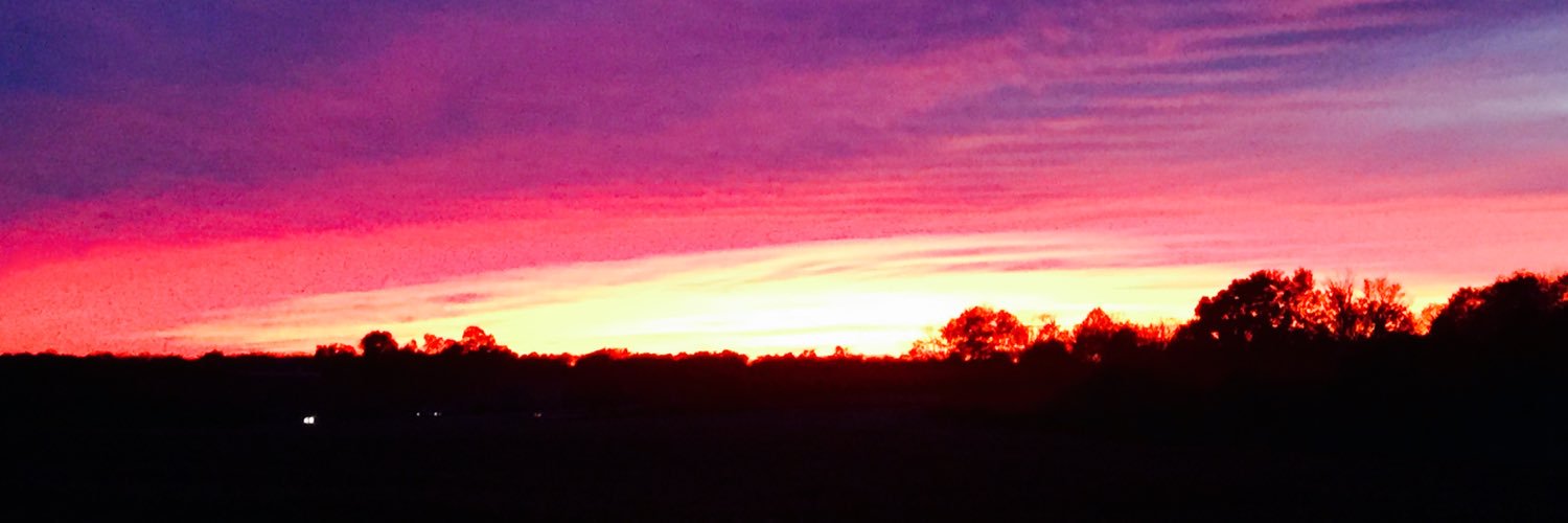 Greg Laake🇺🇸 banner