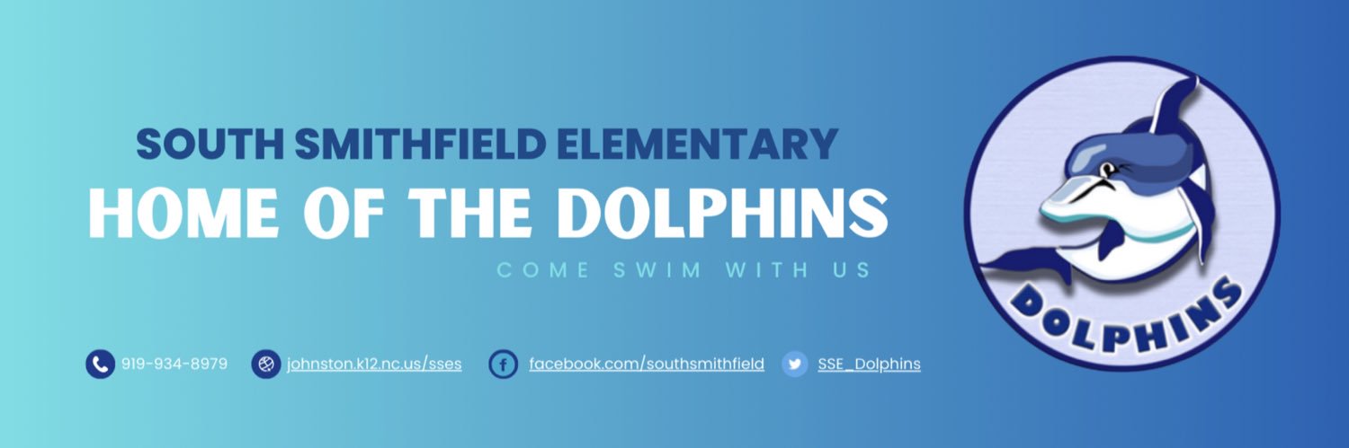 SSE Dolphins banner