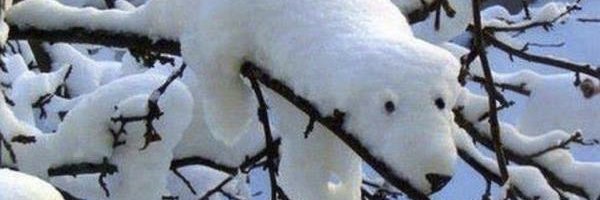 ingoboltz Profile Banner