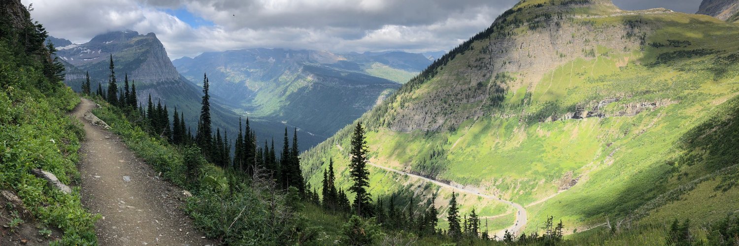 Jackson Ferrell banner