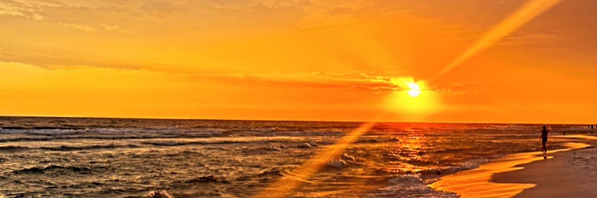 taylor_carlucci's profile banner image