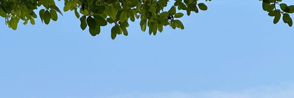 M_Hameedh Profile Banner