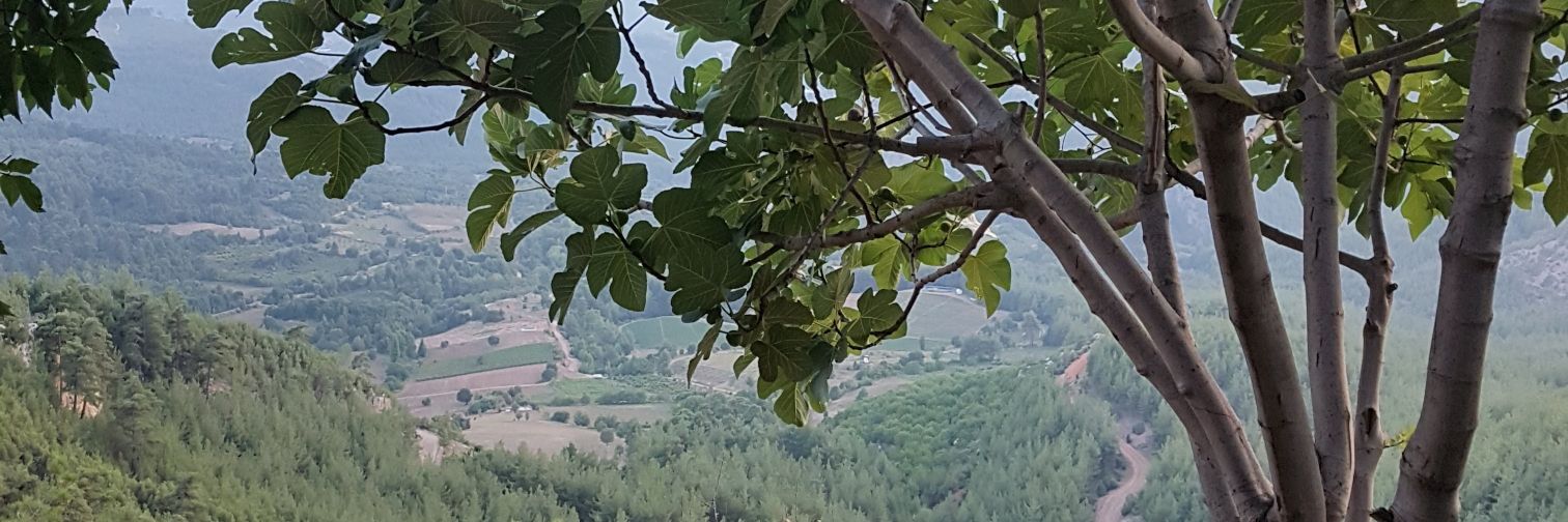 Lvntti's profile banner image