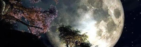 Ha12O Profile Banner