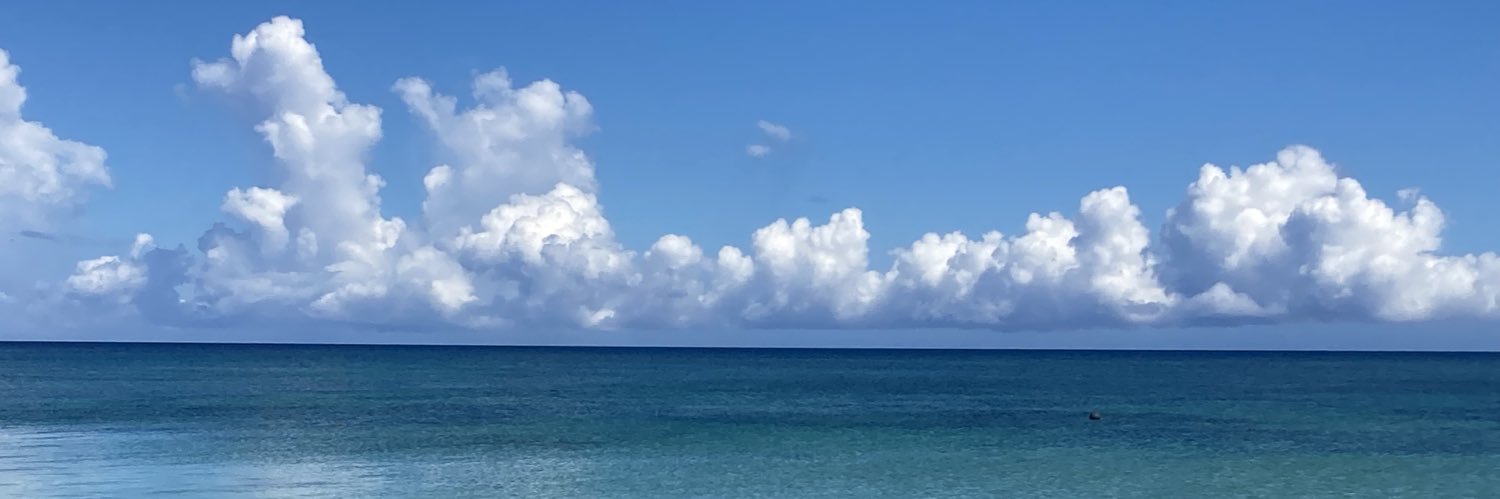 みずき banner