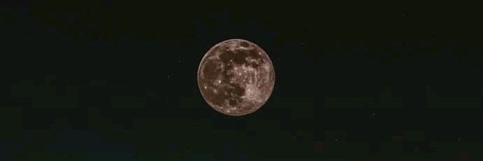 leearchel's profile banner image
