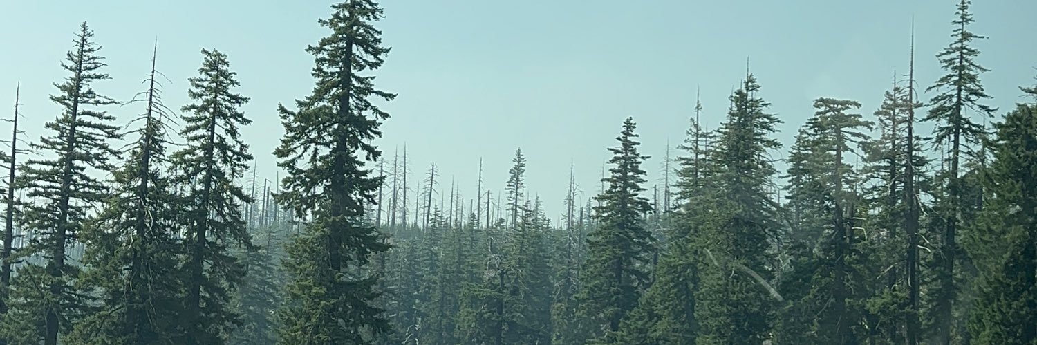 SegoBego's profile banner image