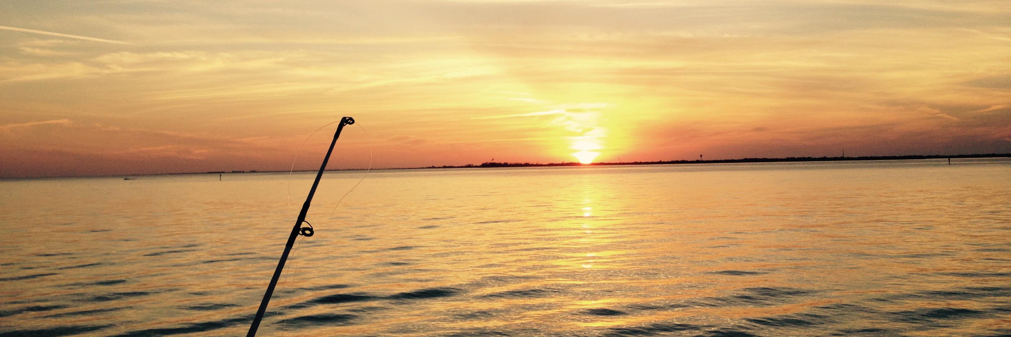 Diogetweet's profile banner image