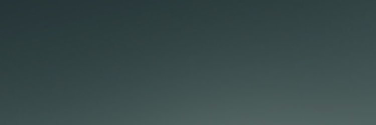 Nuggefy's profile banner image
