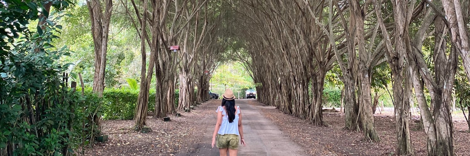 stephaniefonsca's profile banner image