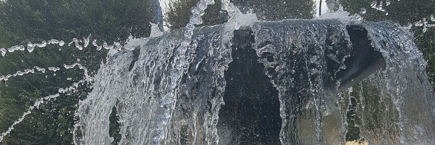 Tru2Sue's profile banner image
