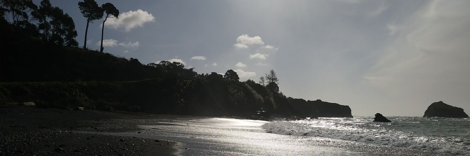 BrittneyNC3's profile banner image