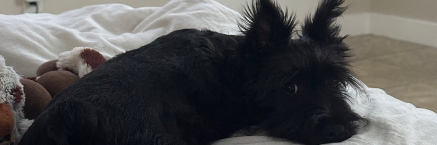 oinkioo's profile banner image