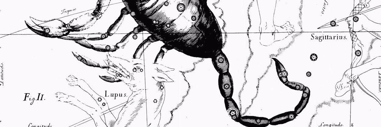 kkiliszek's profile banner image