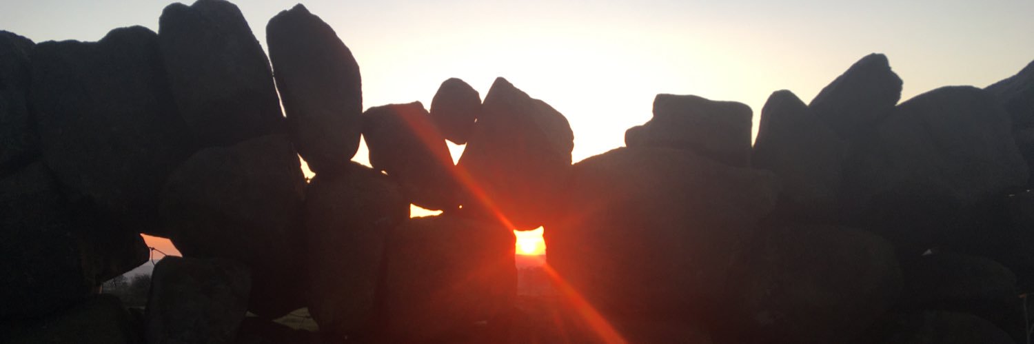 rosadottir's profile banner image