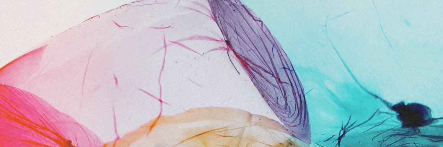 elle_1210's profile banner image