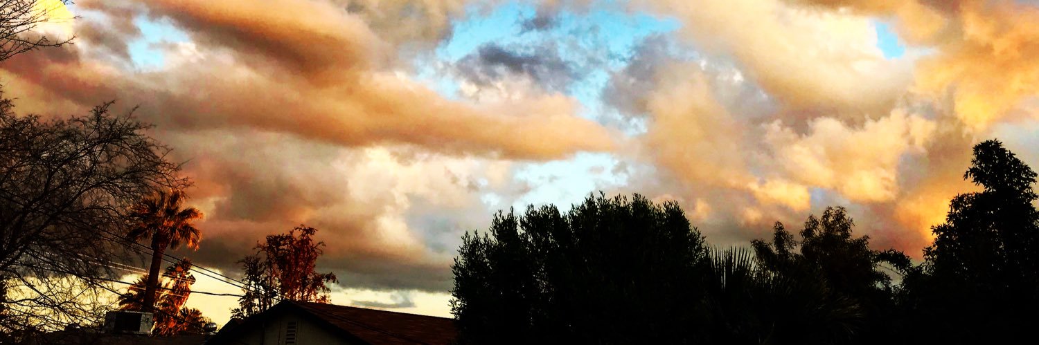 llamaranch's profile banner image