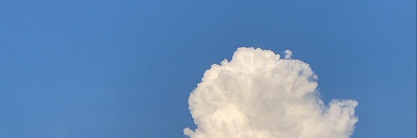 finsandtail's profile banner image