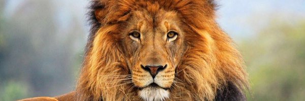 jamesholler15 Profile Banner