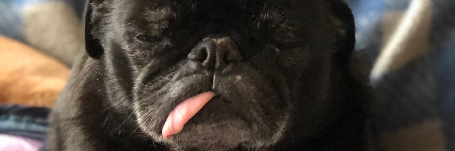SierraStarr1's profile banner image