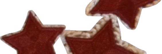 ˚ ༘ 🦕𖦹⋆｡˚ banner