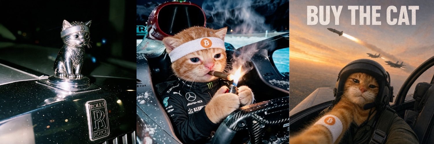 BuyTheCatSol's profile banner image