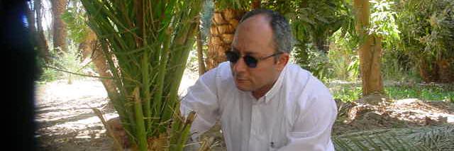 Eng_Mohammad67's profile banner image