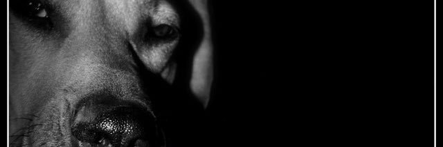 funkinitup77's profile banner image