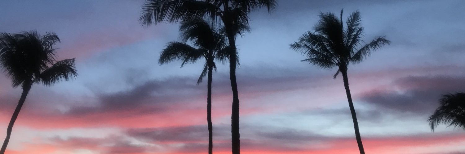 smellerrr's profile banner image