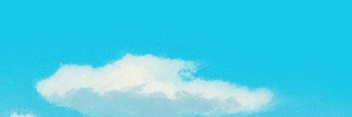 tametamehaa banner