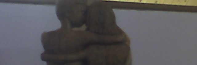 P.Brux banner