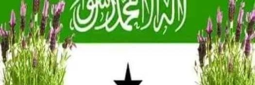 mustafe muhumed abdi banner